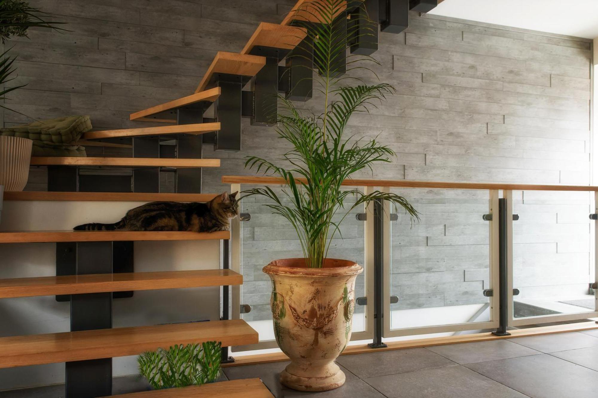 Superbe Appartement Au Coeur Du Jura 尚帕尼奥勒 外观 照片
