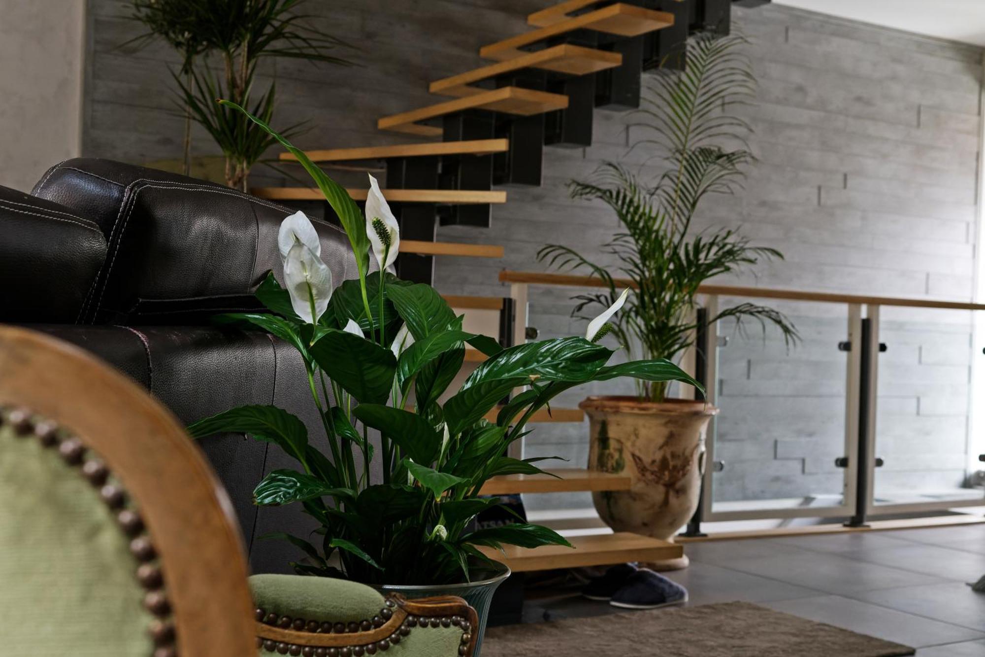 Superbe Appartement Au Coeur Du Jura 尚帕尼奥勒 外观 照片